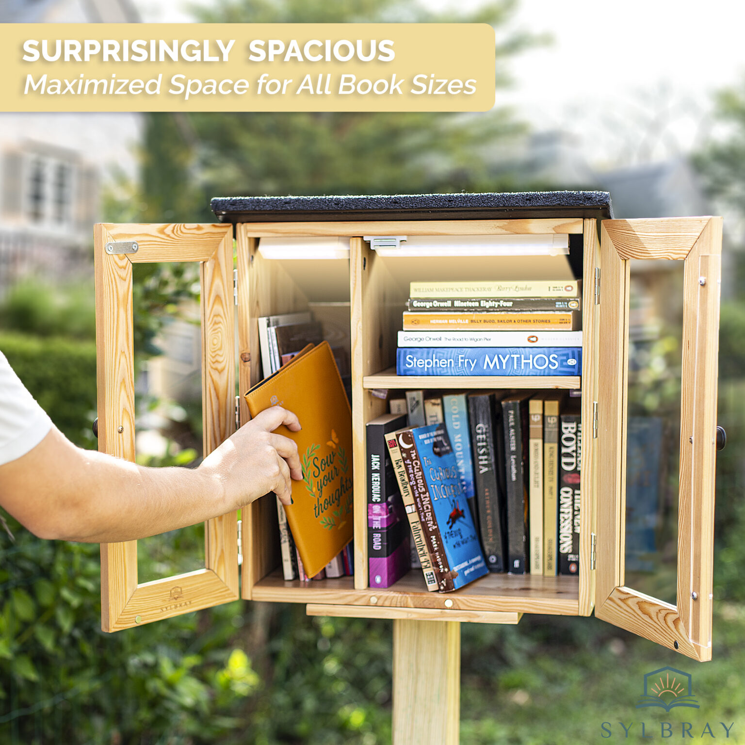 Model A — Larch The complete LFL1 cabinet with both doors open, showing the vertical divider and adjustable shelf.
